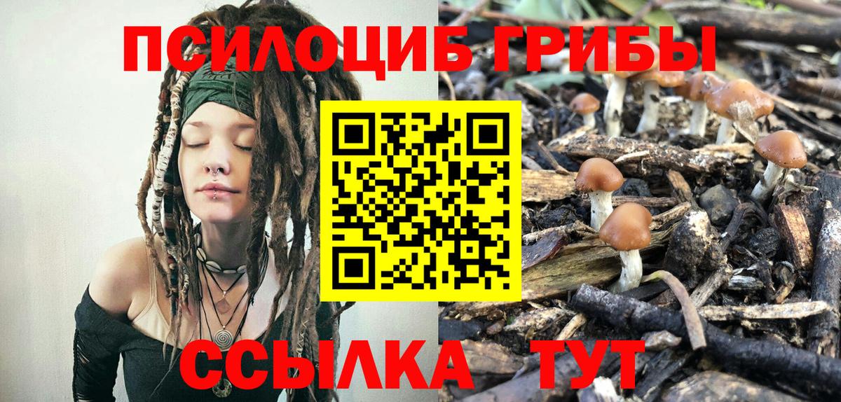 Крымск  Псилоцибиновые грибы мухоморы  Вход с VPN 