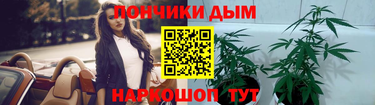 Бошки Шишки марихуана Крымск